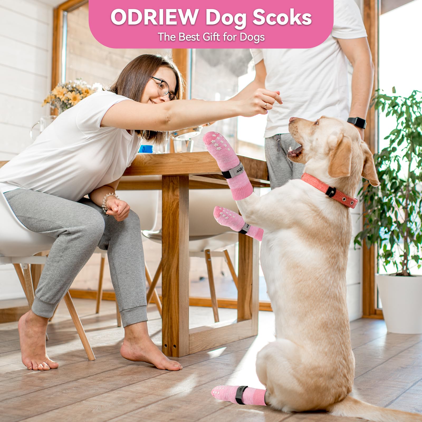 ODRIEW Non Slip Dog Socks to Prevent Licking Paws, Double Sided Grips, Dog Socks for Hardwood Floors Anti Slip, 6Pcs with Elasti